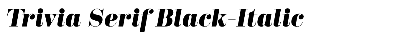 Trivia Serif Black-Italic